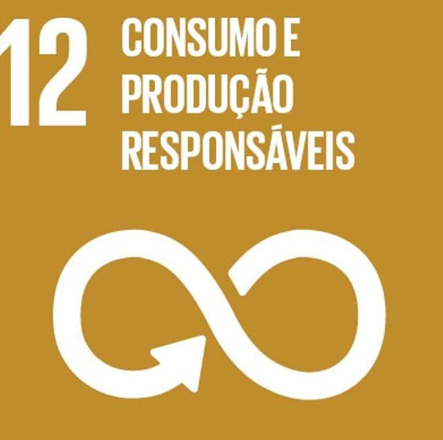ODS 12 - Consumo e Produção Responsáveis